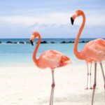 CG电游的制作过程:从构想到成品的旅程 0eyiy