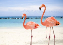 CG电游的制作过程:从构想到成品的旅程 CG电游的制作过程:从构想到成品的旅程