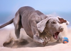 逐梦国际娱乐:让每一个梦想在这里起航 逐梦国际娱乐:让每一个梦想在这里起航