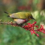 非凡娱乐H5游戏中的经典角色与故事背景 18zx95i