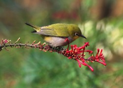 非凡娱乐H5游戏中的经典角色与故事背景 非凡娱乐H5游戏中的经典角色与故事背景
