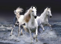 君临国际娱乐:带你领略全球顶尖游戏的魅力 君临国际娱乐:带你领略全球顶尖游戏的魅力