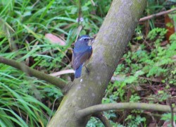 君临国际娱乐:为你提供多样化的娱乐选择 君临国际娱乐:为你提供多样化的娱乐选择