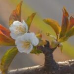 非凡娱乐下载的用户注册福利:首次登录的惊喜 9mw9be4