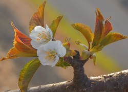 非凡娱乐下载的用户注册福利:首次登录的惊喜 非凡娱乐下载的用户注册福利:首次登录的惊喜