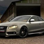 凯旋国际的会员制度与忠诚计划解析 exftzko