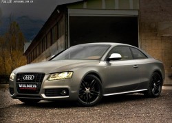 凯旋国际的会员制度与忠诚计划解析 凯旋国际的会员制度与忠诚计划解析