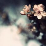 逐梦国际:如何在海外拓展自己的视野与能力 eycc2aq0k