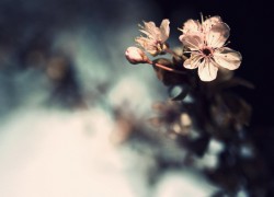 逐梦国际:如何在海外拓展自己的视野与能力 逐梦国际:如何在海外拓展自己的视野与能力