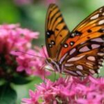 君临国际:全球市场中的消费者行为研究 i210841q