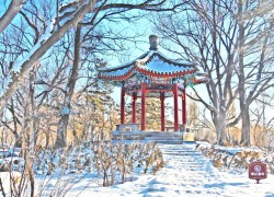 非凡娱乐H5:提升游戏体验的必备技巧 非凡娱乐H5:提升游戏体验的必备技巧