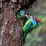 凯旋国际娱乐的社交活动与玩家互动体验 lt872