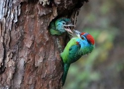 凯旋国际娱乐的社交活动与玩家互动体验 凯旋国际娱乐的社交活动与玩家互动体验