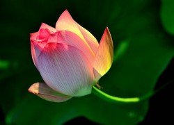 逐梦国际娱乐:让你的梦想在这里找到归属 逐梦国际娱乐:让你的梦想在这里找到归属