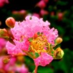 CG电游中的心理学:玩家行为与动机分析 yhj3jf4ya4