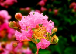 CG电游中的心理学:玩家行为与动机分析 CG电游中的心理学:玩家行为与动机分析